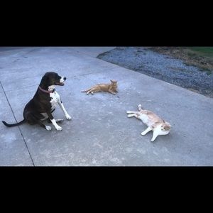 Meet your Posher, Molly